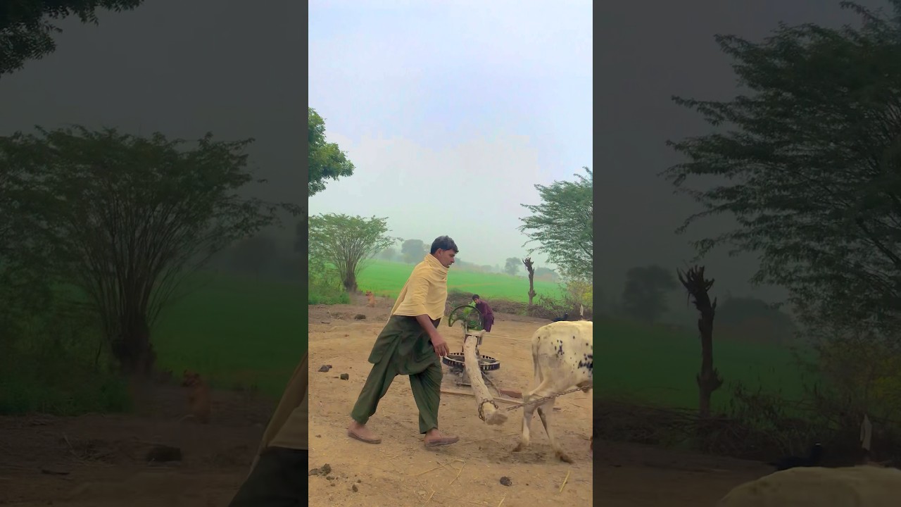 Faster Oxygen Operated By Chaff Cutter