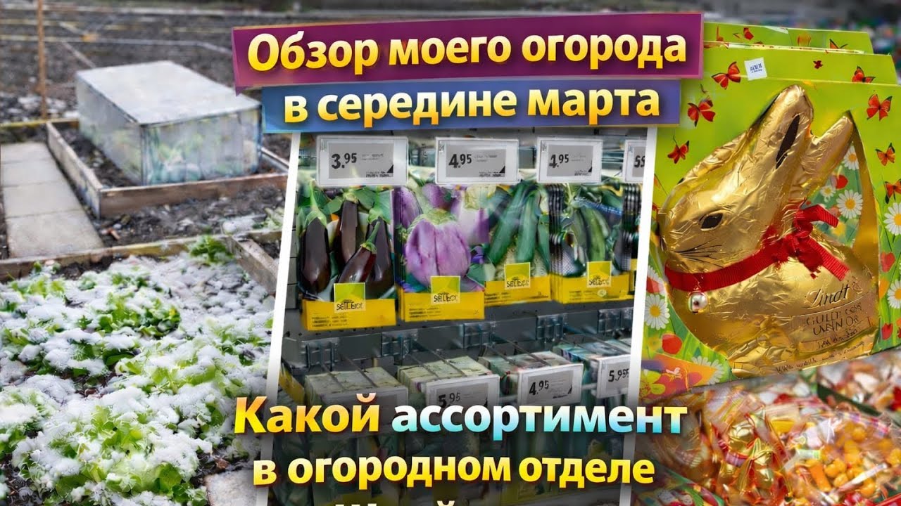 МОЙ ОГОРОД 14.3.26 🌷КАКОЙ АССОРТИМЕНТ В ОГОРОДНОМ ОТДЕЛЕ ШВЕЙЦАРИИ 👩‍🌾🌺🌷