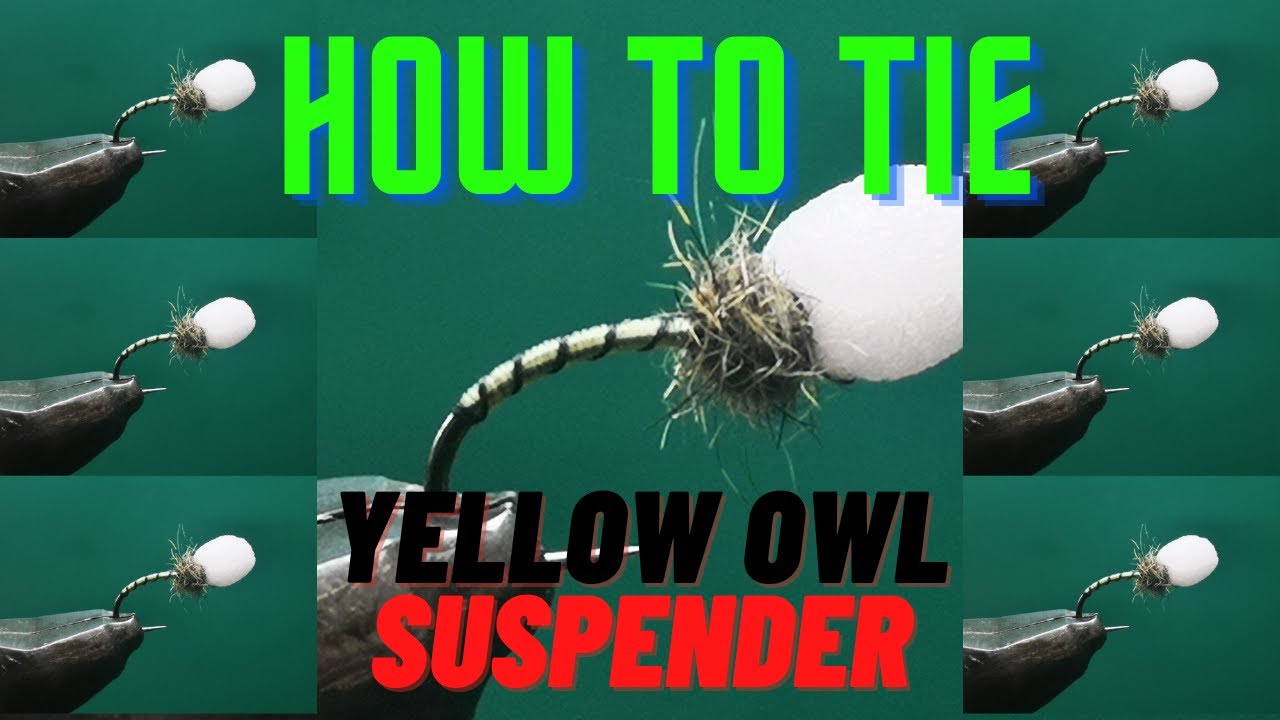 Fly Tying Yellow Owl Suspender Buzzer