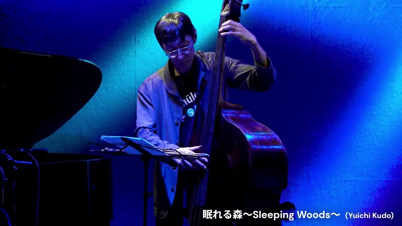 Sleeping Woods  (Yuichi Kudo)
