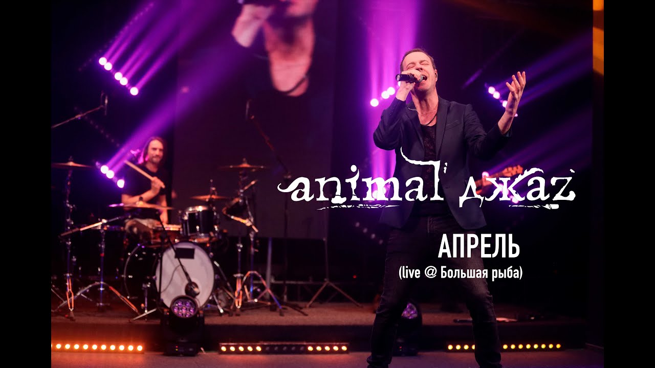 Animal ДжаZ &mdash; Апрель (Live @ Мой музыкальный)