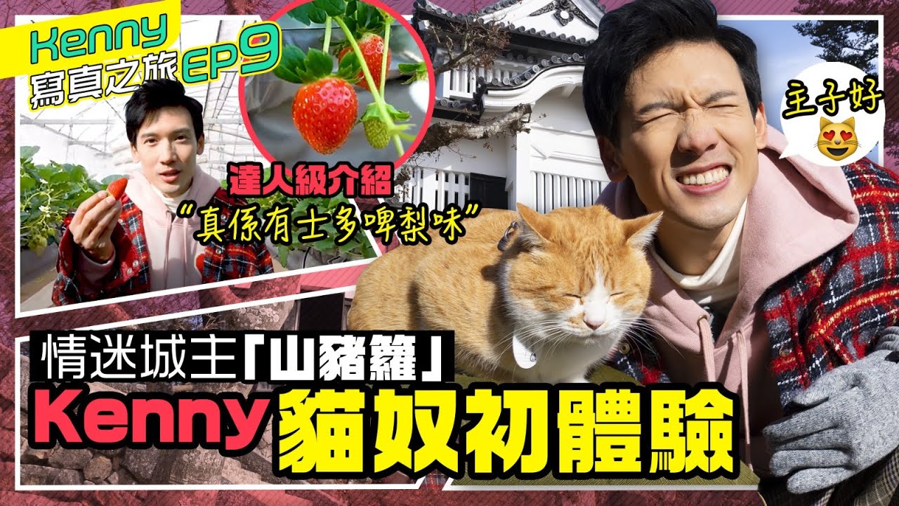 關智斌 Kenny Kwan - 體驗一日貓奴 情迷日本岡山城主「山豬籮」 見到呢位主子，真係做貓奴都抵返晒  😽 [ 斌斌周圍遊 #日本 EP9 ]