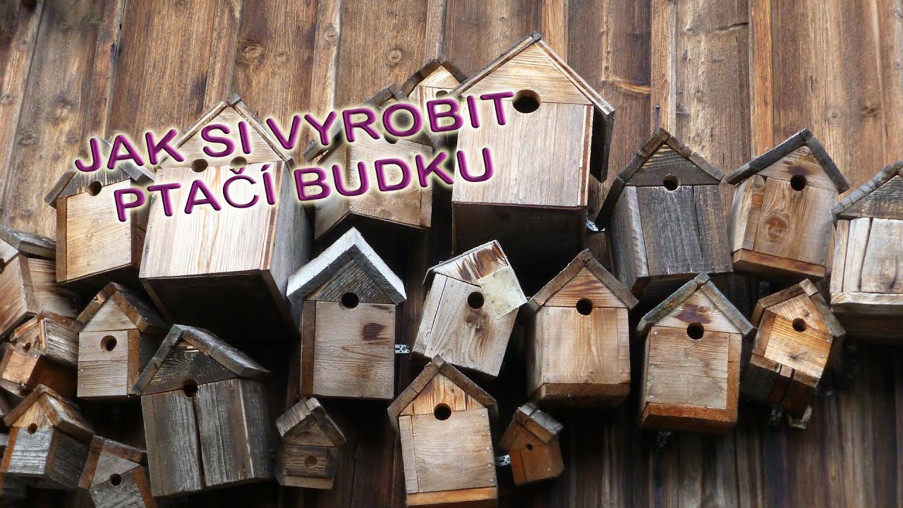 Jak si doma vyrobit ptačí budku