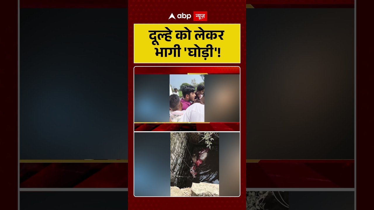 MP News:दूल्हे को लेकर भागी 'घोड़ी'! |Khandwa |#shorts #ytshorts #viralshorts #viralvideo