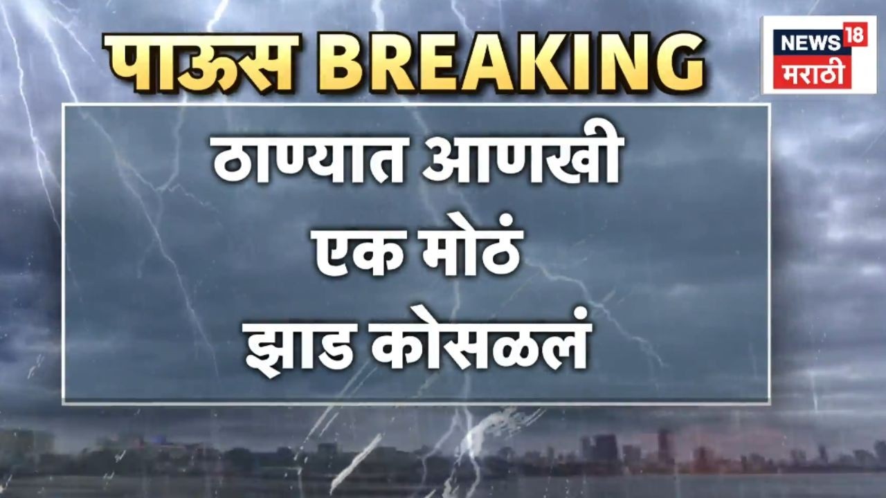 Thane Rain News | झाड कोसळल्याने वाहतुकीला मोठा फटका | Rain Update 2026 | Mumbai Rain | Marathi News