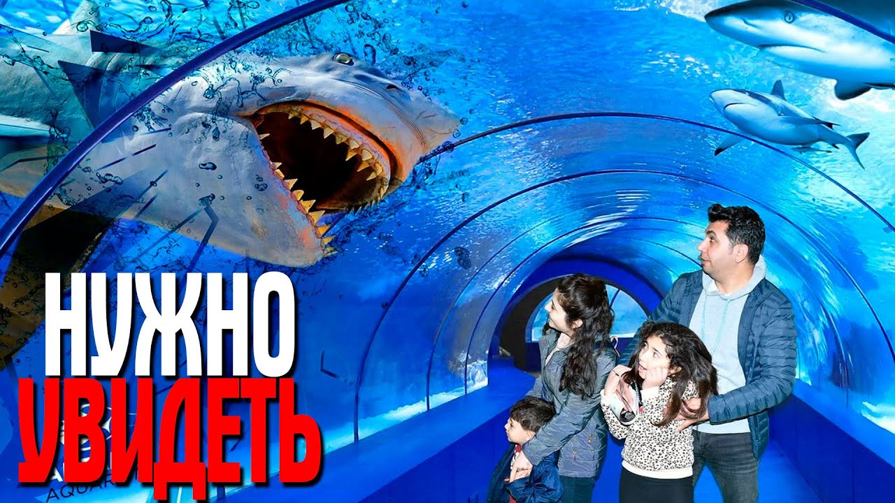 САМЫЙ БОЛЬШОЙ В МИРЕ АКВАРИУМ | АНТАЛИЯ 2022
