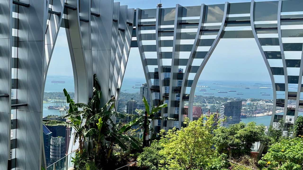 World 's Highest Food Forest Garden 世界最高食林空中花园 #plants #worldhighestgarden