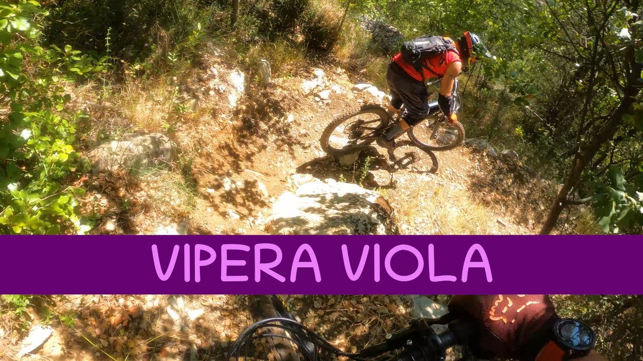 MTB Travalle 20.08.2022 sentiero TRALLONE - VIPERA VIOLA