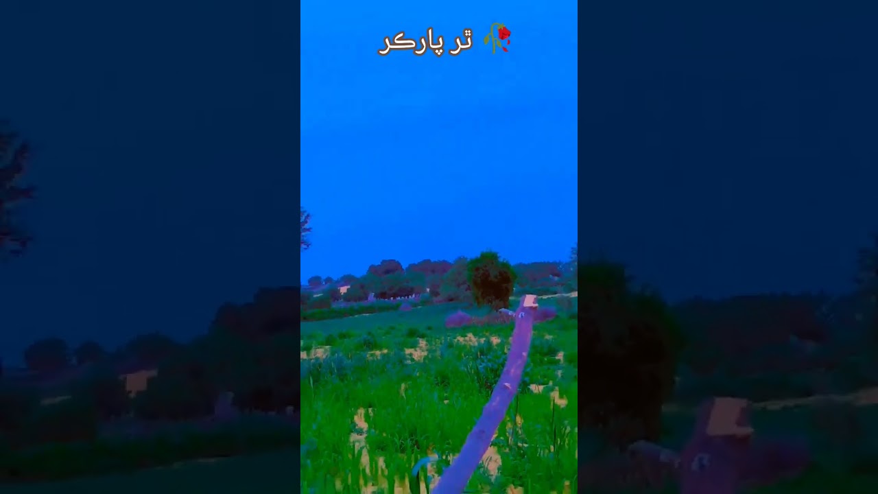 Thar parkar wonderful veiw's 