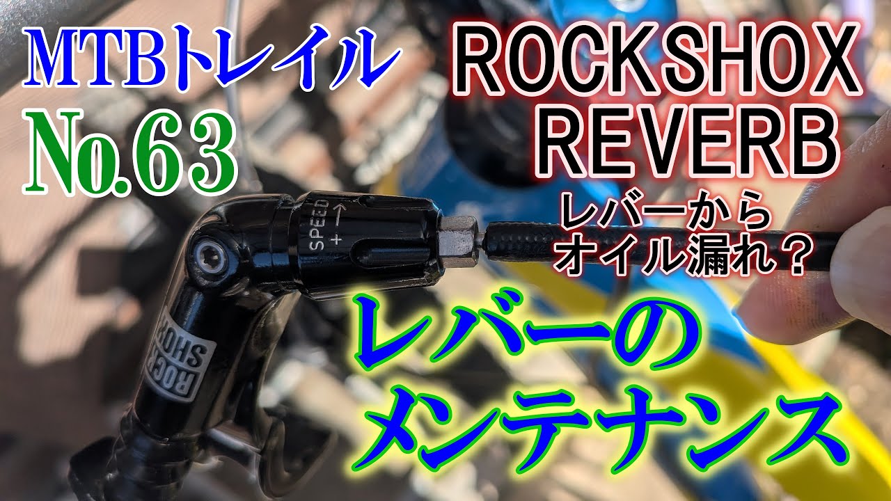 ROCKSHOX REVERB メンテナンス レバーのOリング交換