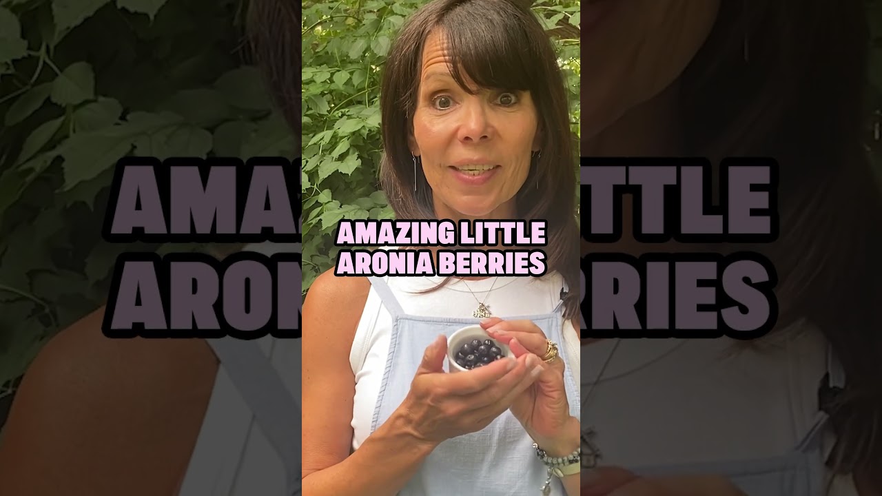How did we discover the Aronia Berry?