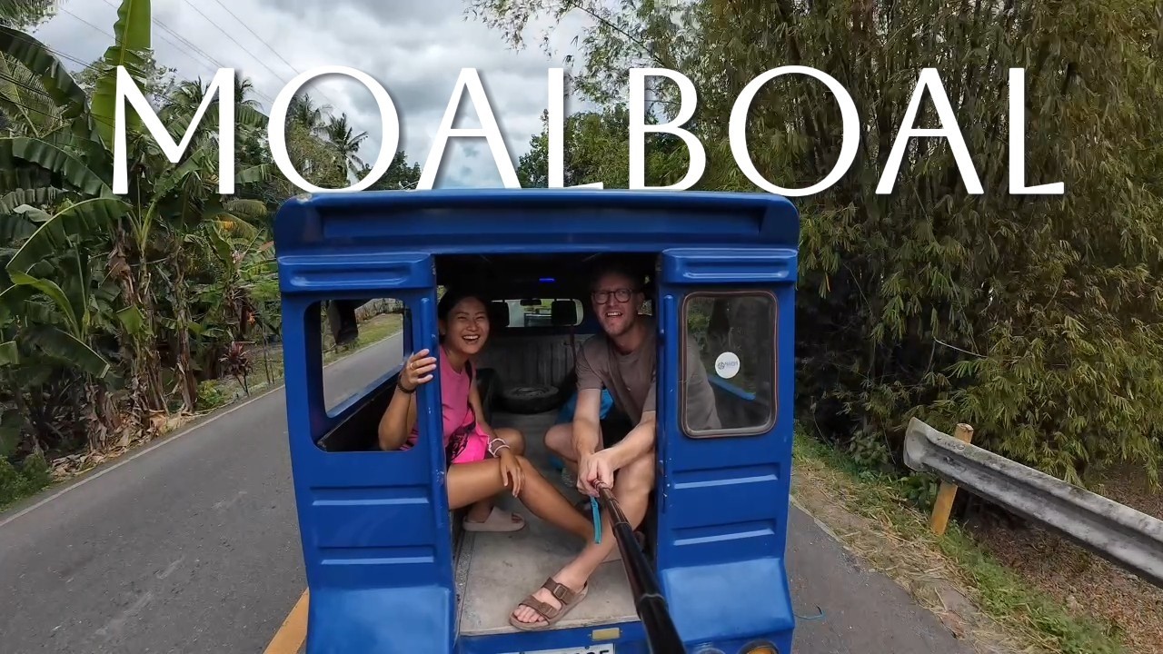 MOALBOAL CEBU 🇵🇭 | Osmeña Peak, Kawasan Falls & Sardine Run