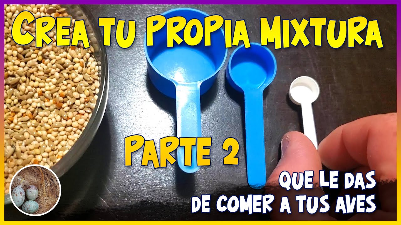 Que le das de comer a tus aves, Crea tu propia mixtura Parte 2🦜