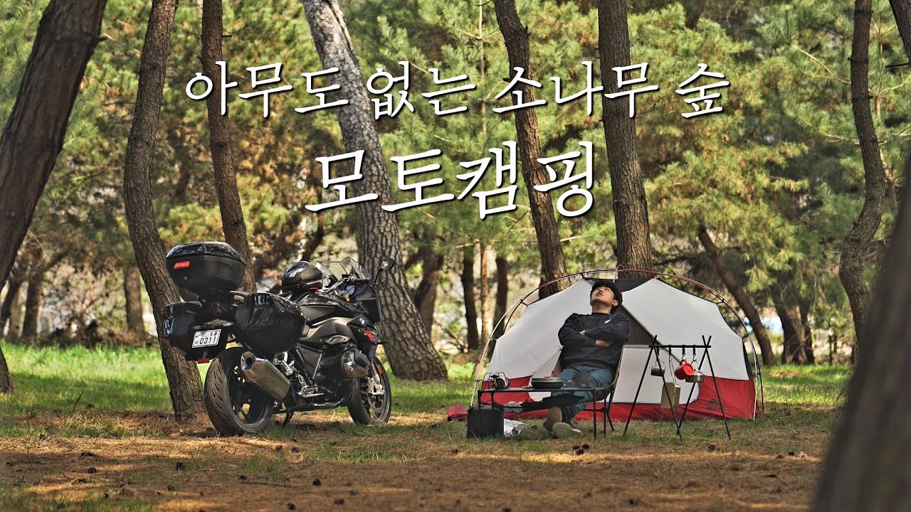 모토캠핑 / 바이크 캠핑 / 광활한 소나무 숲속에서 솔로캠핑 / 4K화질 /  BMW R1250RS
