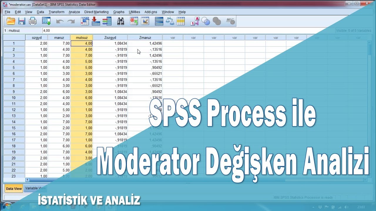 Spss Process ile Moderator Değişken (Ilımlaştırıcı,Düzenleyici) Analizi ve Hipotez testleri