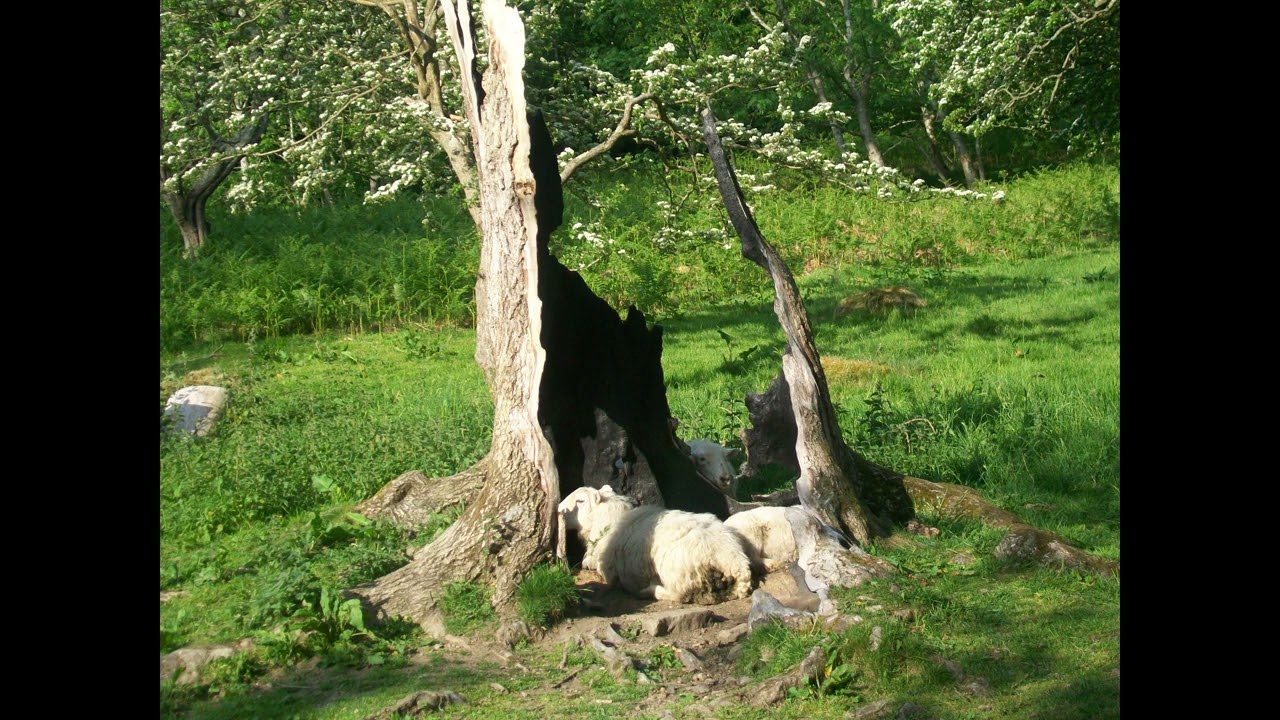 Author Talks: S1, Ep2 - Vague Ramblings