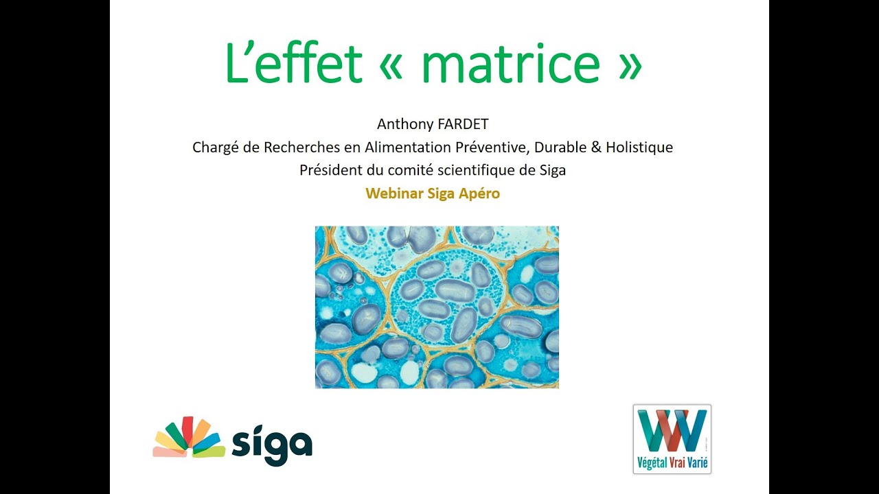 L'effet matrice des aliments - Webinar Siga
