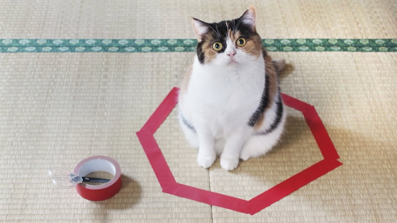 ⭕