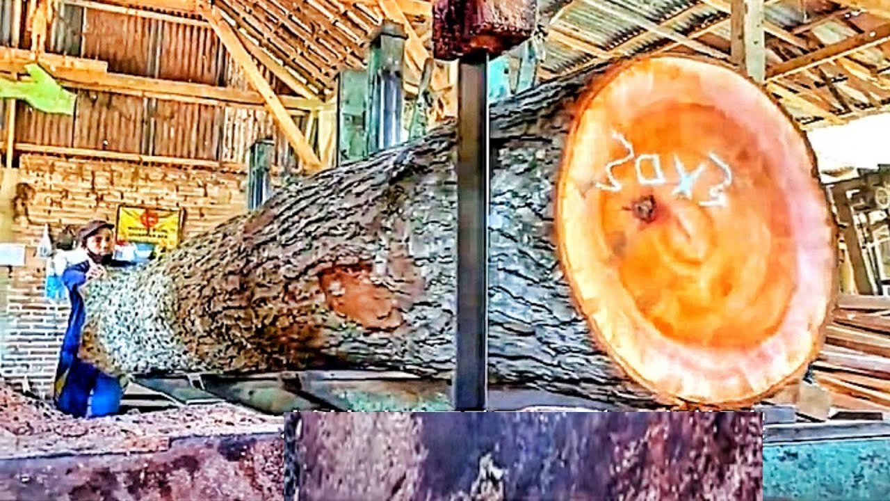 The Challenging Process of Cutting Solid Mahogany Logs 🌳