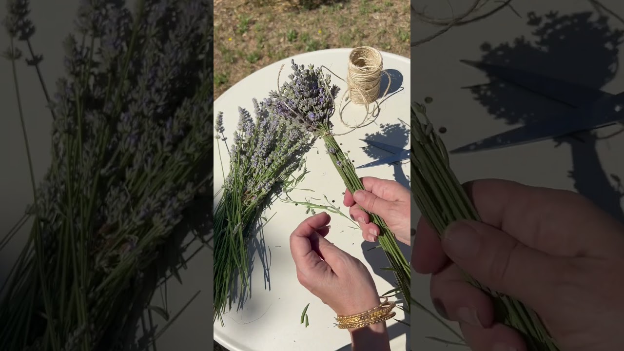 Tutorial Fusi di lavanda semplici 