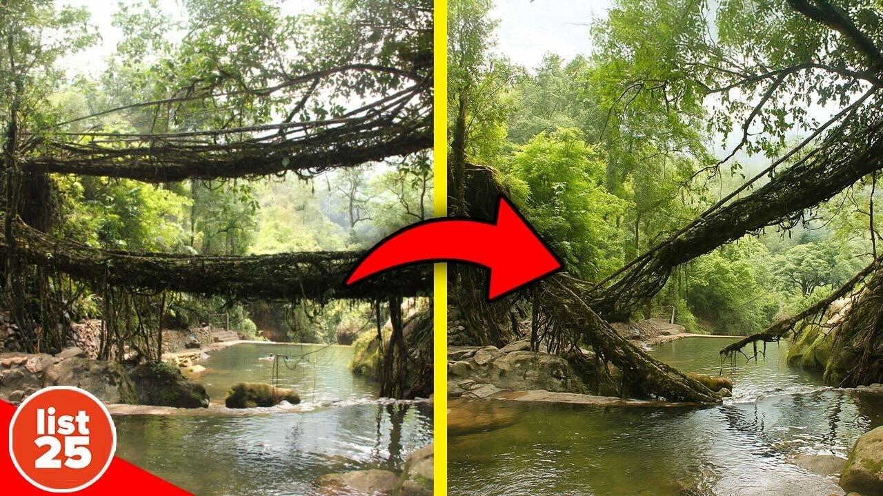 100 Oddly Interesting Facts That Will Make You Wonder