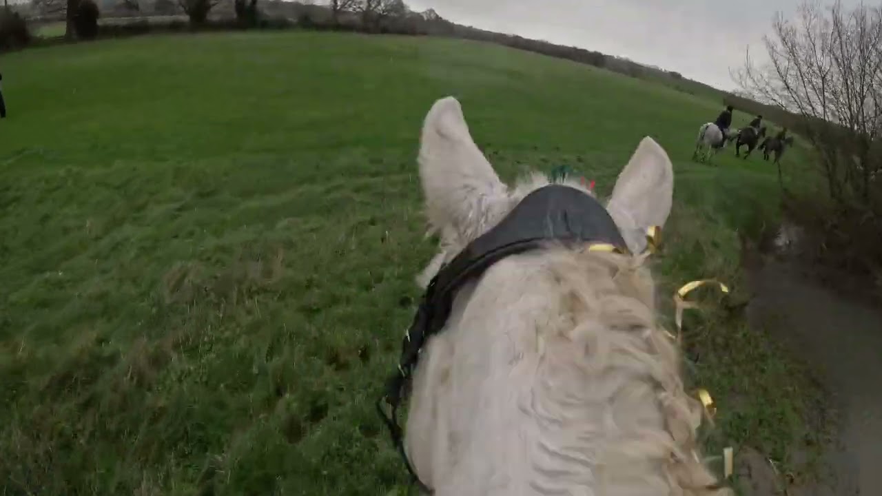 Farmers Bloodhounds Lygon Arms