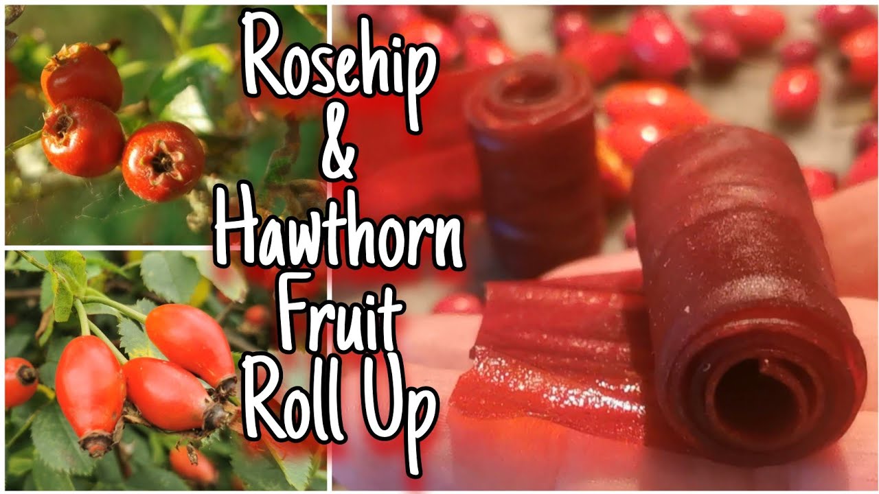 Rosehip & Hawthorn Fruit Roll Ups 🌹Healthy Wild Food Treats