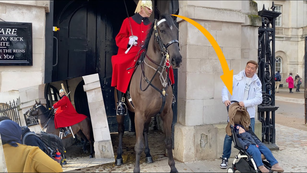 Horse's Agitated!! MOVE BABY AWAY!! MOVE AWAY!! Guard's CONCERN for Baby is PRICELESS!!