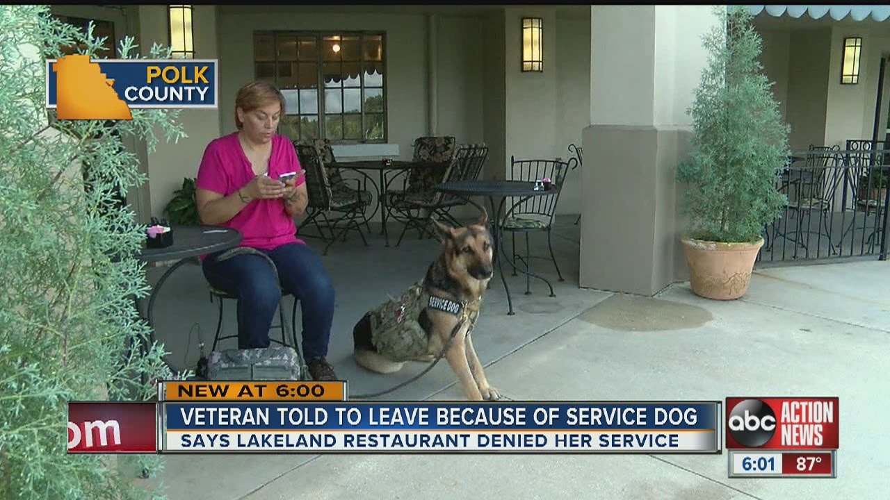 Lakeland Army vet with service dog says restaurant asked her to leave
