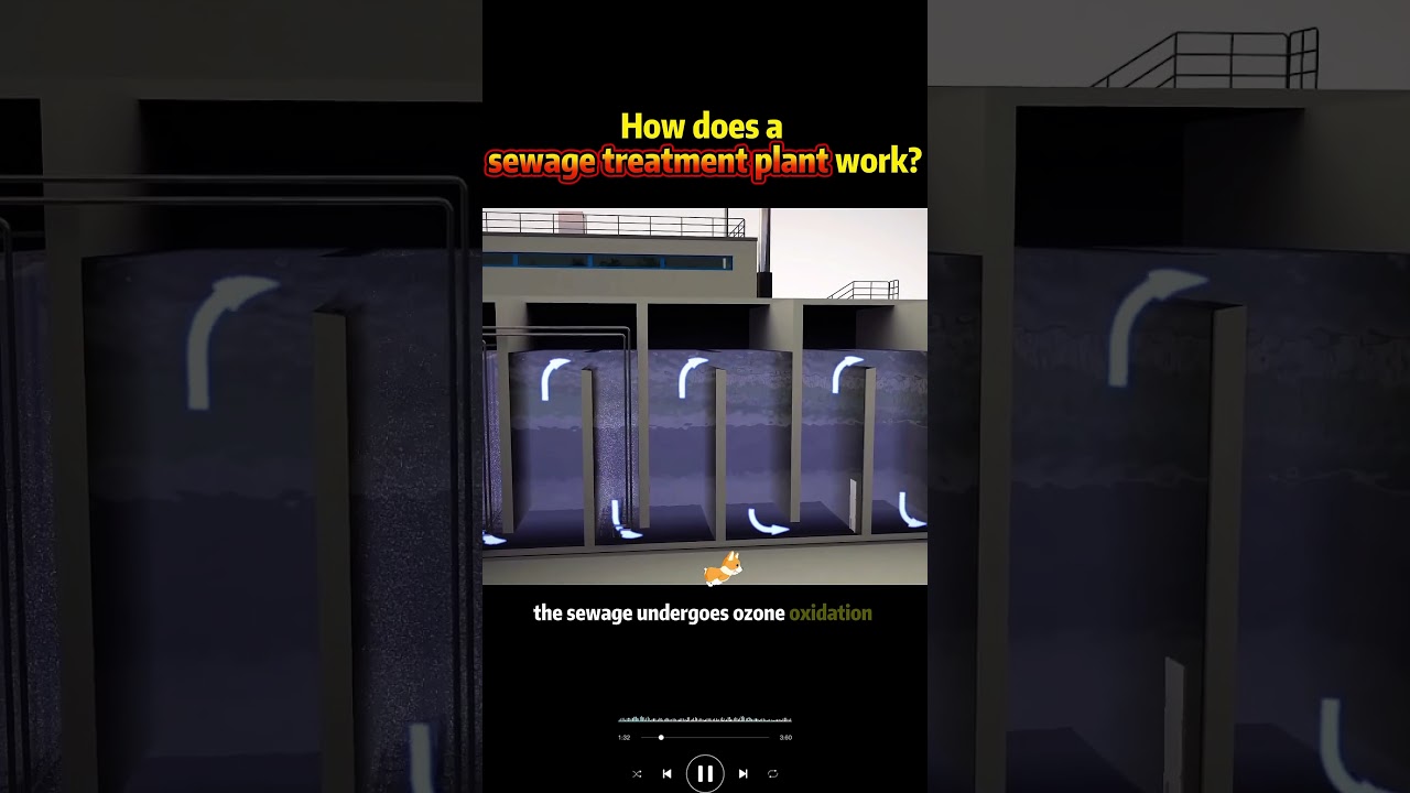 How does the sewage treatment plant work?