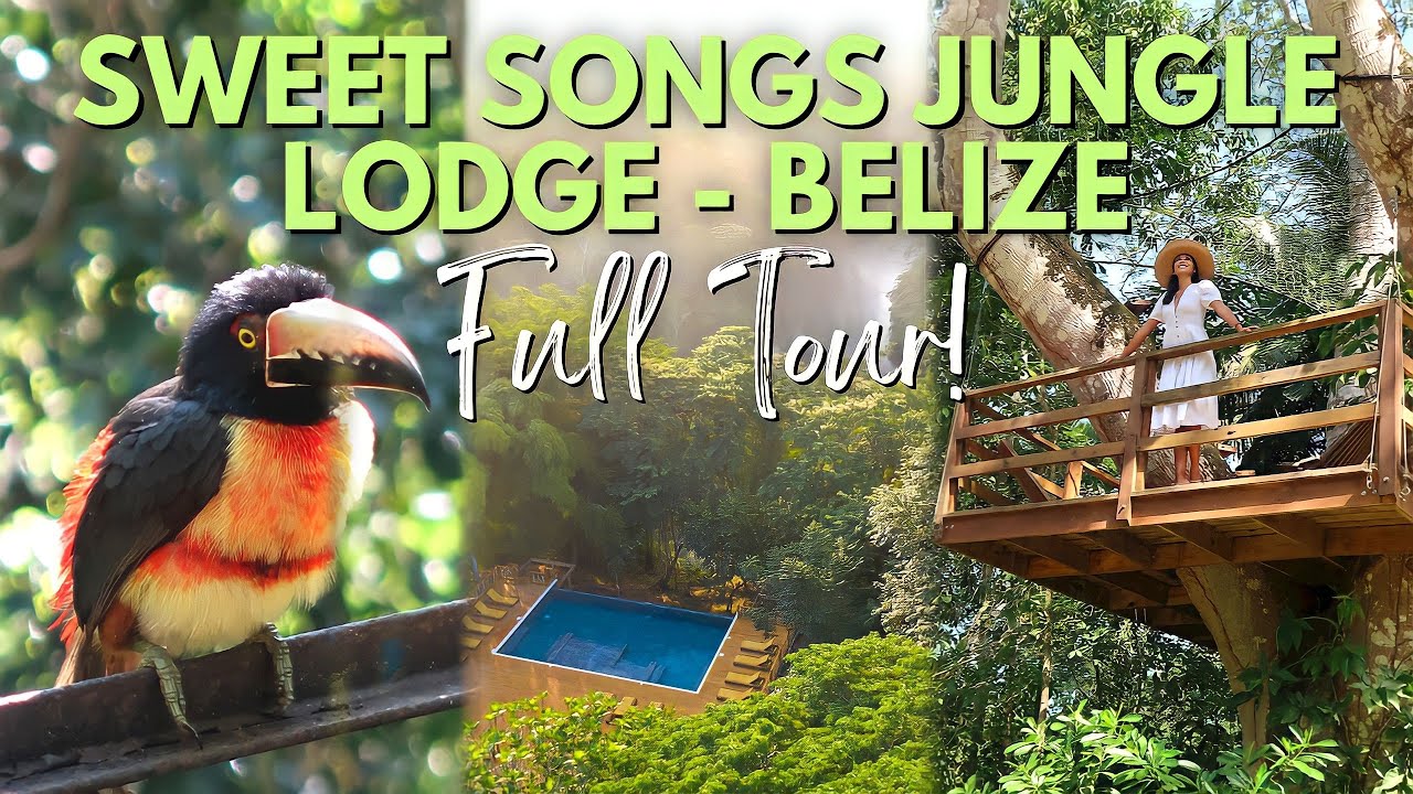 Sweet Songs Jungle Lodge | ПОЛНЫЙ ТУР | Сан-Игнасио, Белиз, 2023