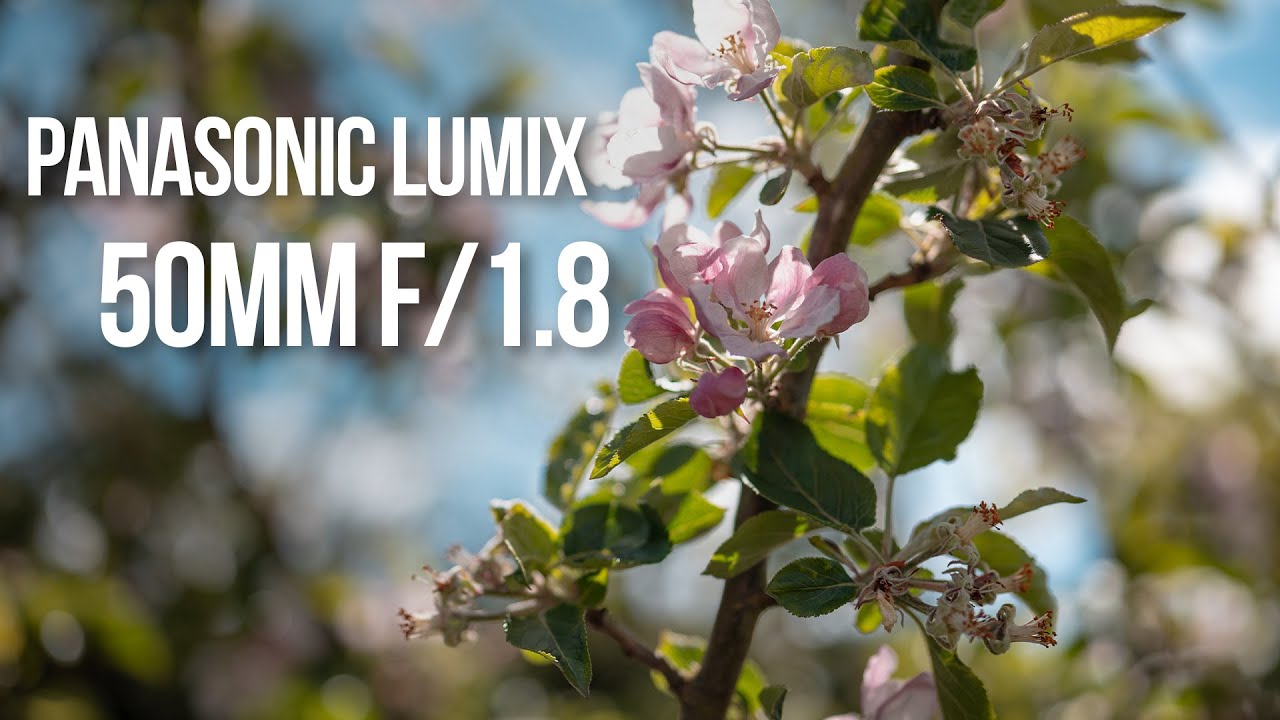 Panasonic Lumix 50mm f/1.8 Lens Review | L Mount Nifty Fifty