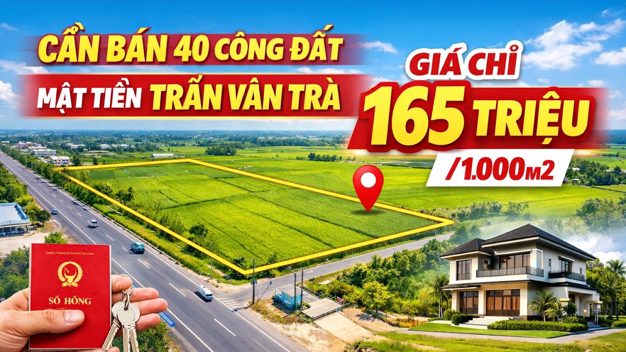 🔥 CẦN BÁN 40 CÔNG ĐẤT MẶT TIỀN TRẦN VĂN TRÀ – GIÁ CHỈ 165 TRIỆU/1000M2