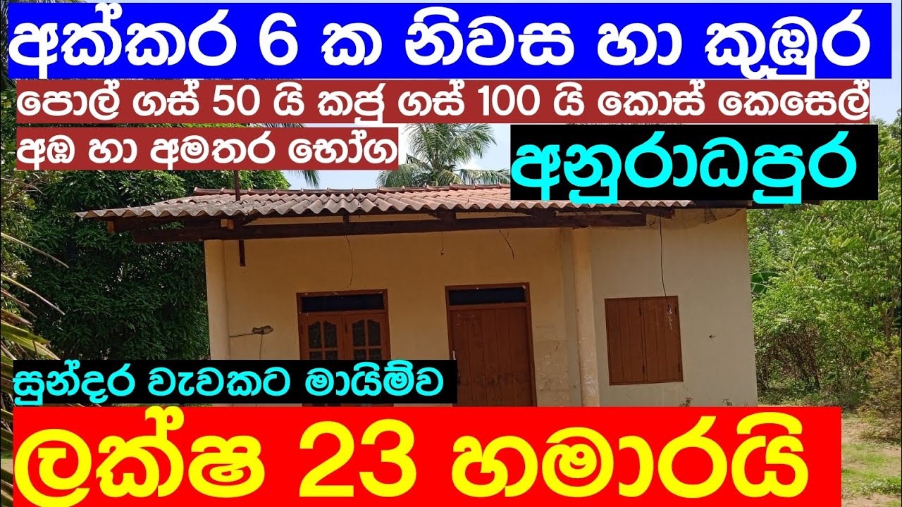 අක්කර 6 ක පොල් කජු හා කුඹුර සමග නිවස | House For Sale | aduwata gewal | aduwata idam | Idam Kadam