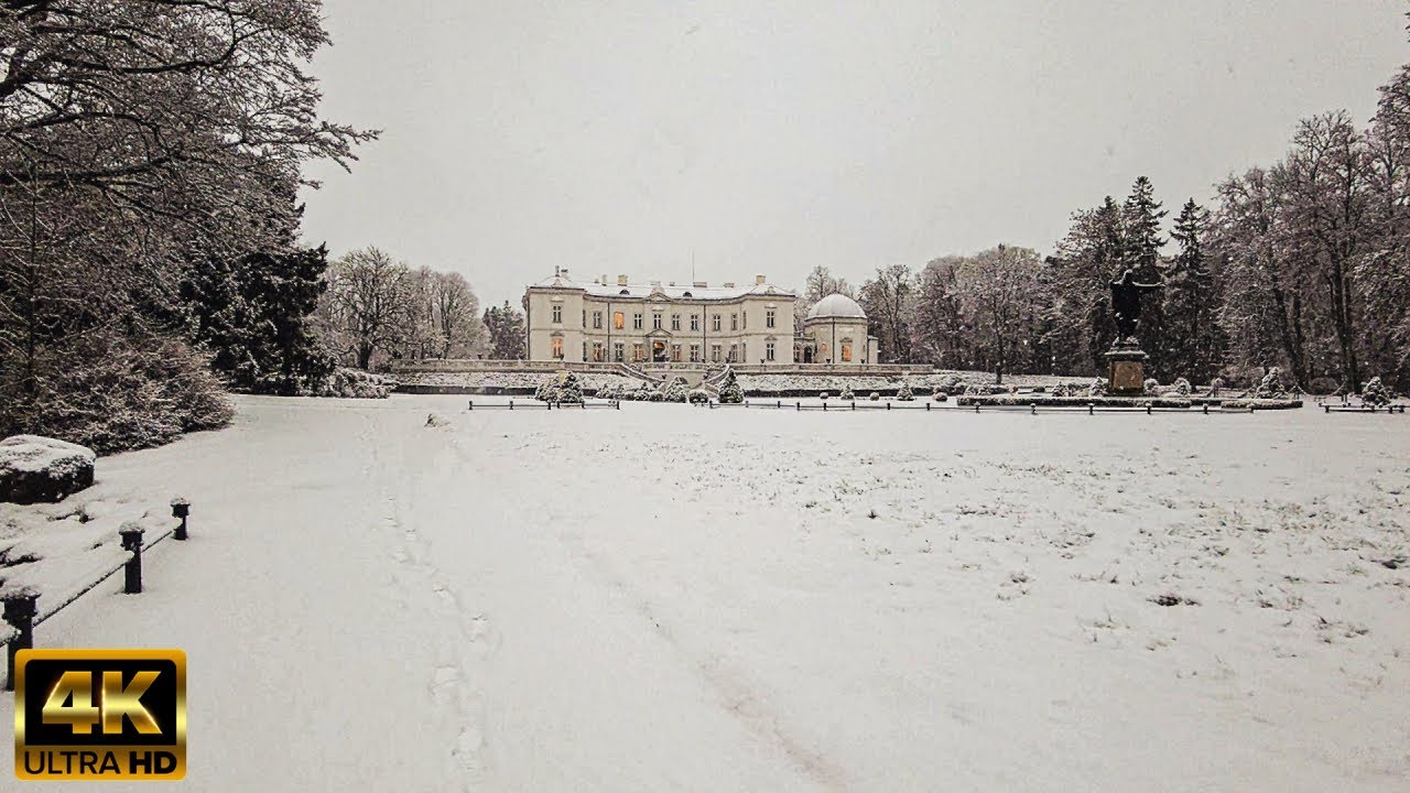 Magic of Winter and silence: Strolling through Palanga Botanic Park with Snow