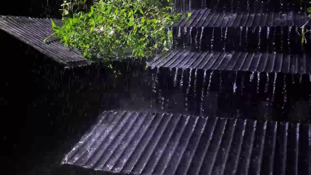 Soothing Rain on Tin Roof with Thunder | Sleep & Relaxation Sounds