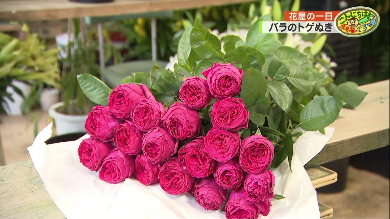 花屋さんの１日に密着しました（こんにちは秋末です）