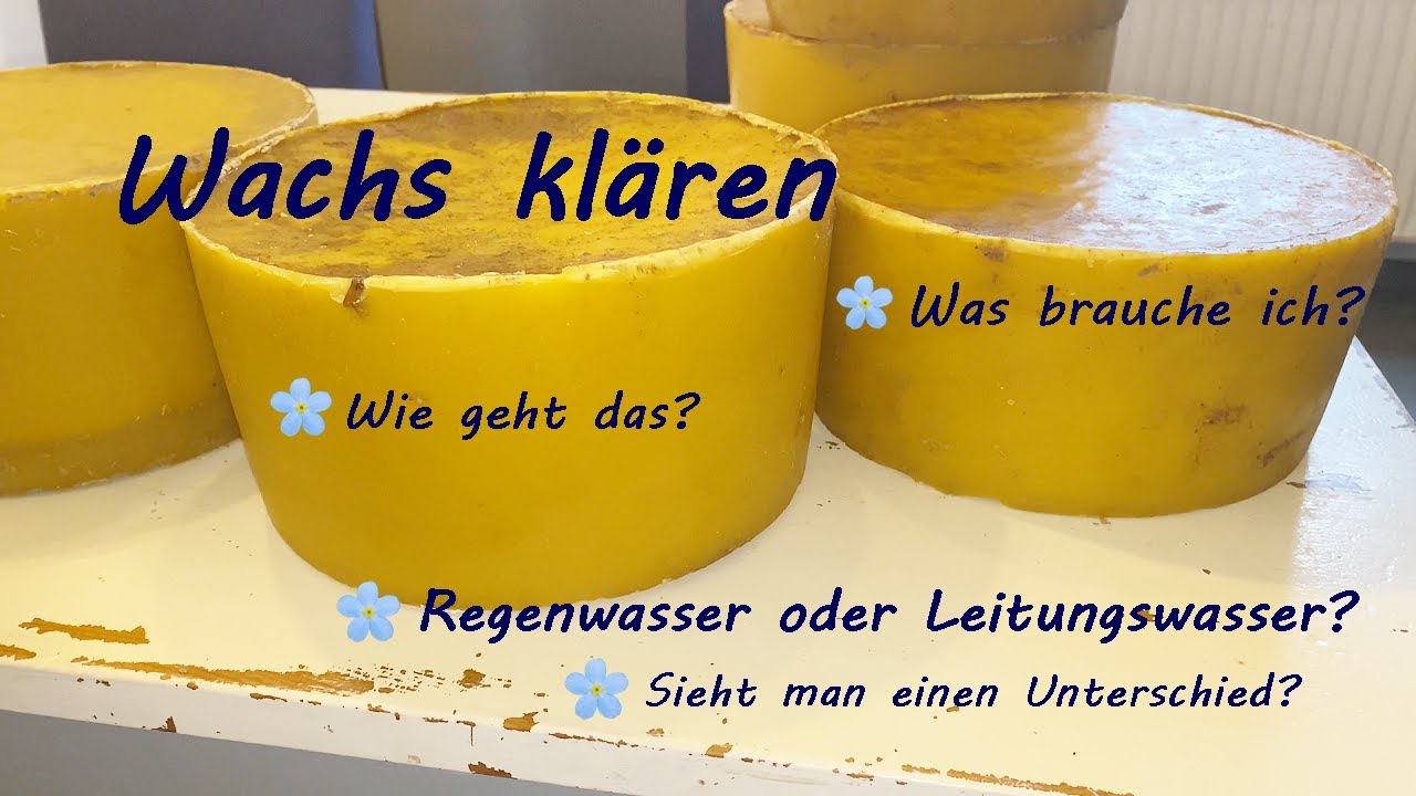 Bienenwachs klären I Regenwasser oder Leitungswasser? Test!