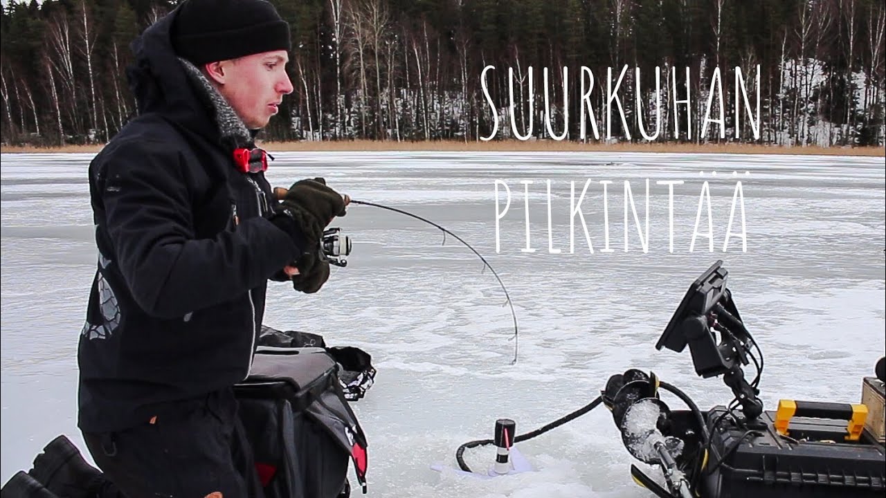 Voiko suurkuhan saada pilkillä?