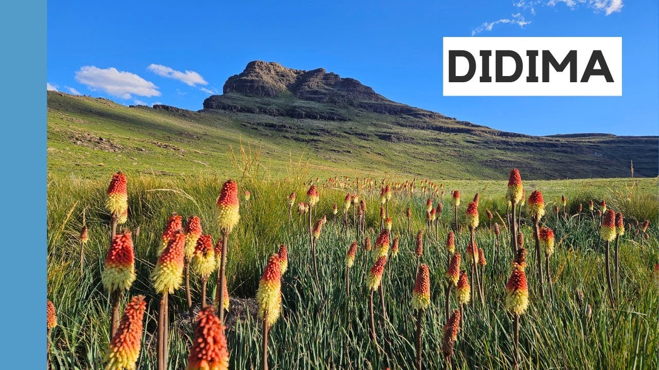 Organ Pipes via Camel Pass, tag some khulus & down Tlanyaku Pass | DIDIMA DRAKENSBERG