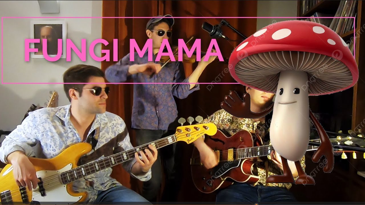 Fungi Mama: Draetta-Lanaro-Simeoni Trio 🍄