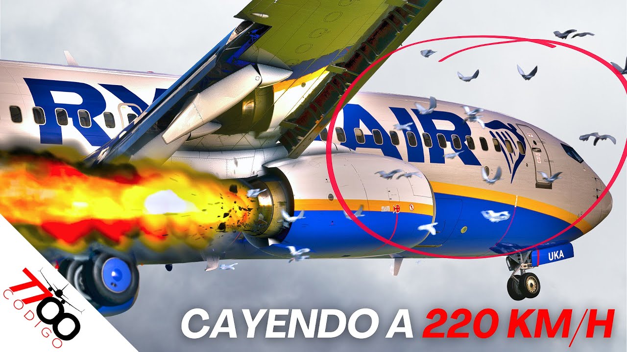 Avión cae a plomo y se estrella en la pista | Vuelo 4102 de Ryanair