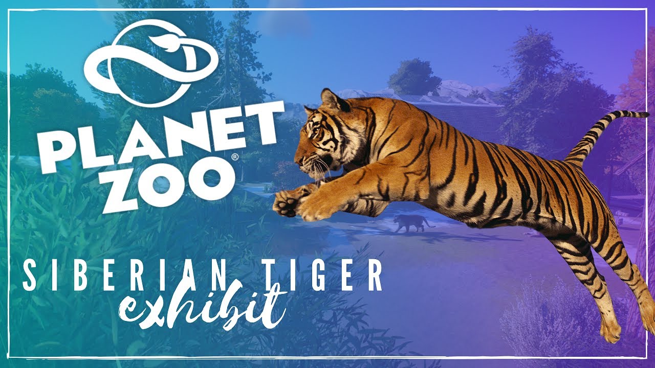 Planet Zoo Speed Build || SIberian Tiger Exhibit!