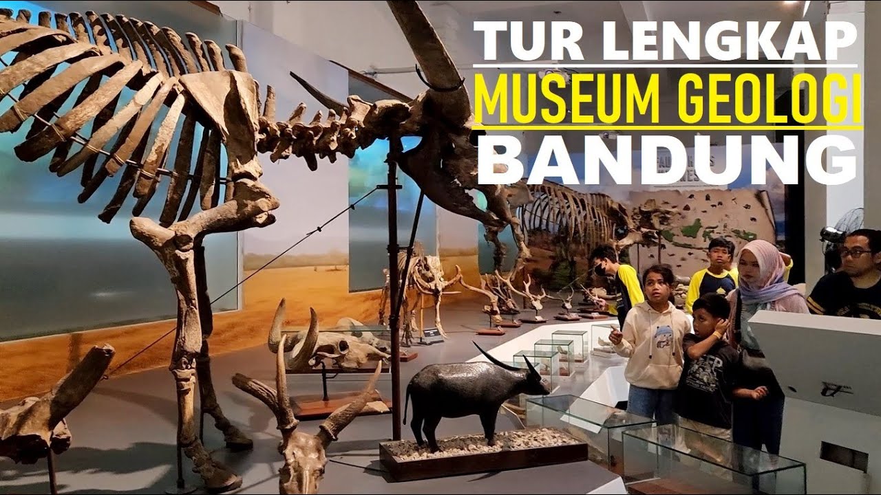 Full walking tour Bandung Geological Museum ‼️ [Tur keliling lengkap Museum Geologi Bandung] ❗