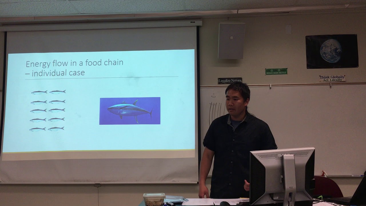 Marine Bio Lecture 14.5 Microbial Loop (Bio 20 MtSAC) - optional lecture