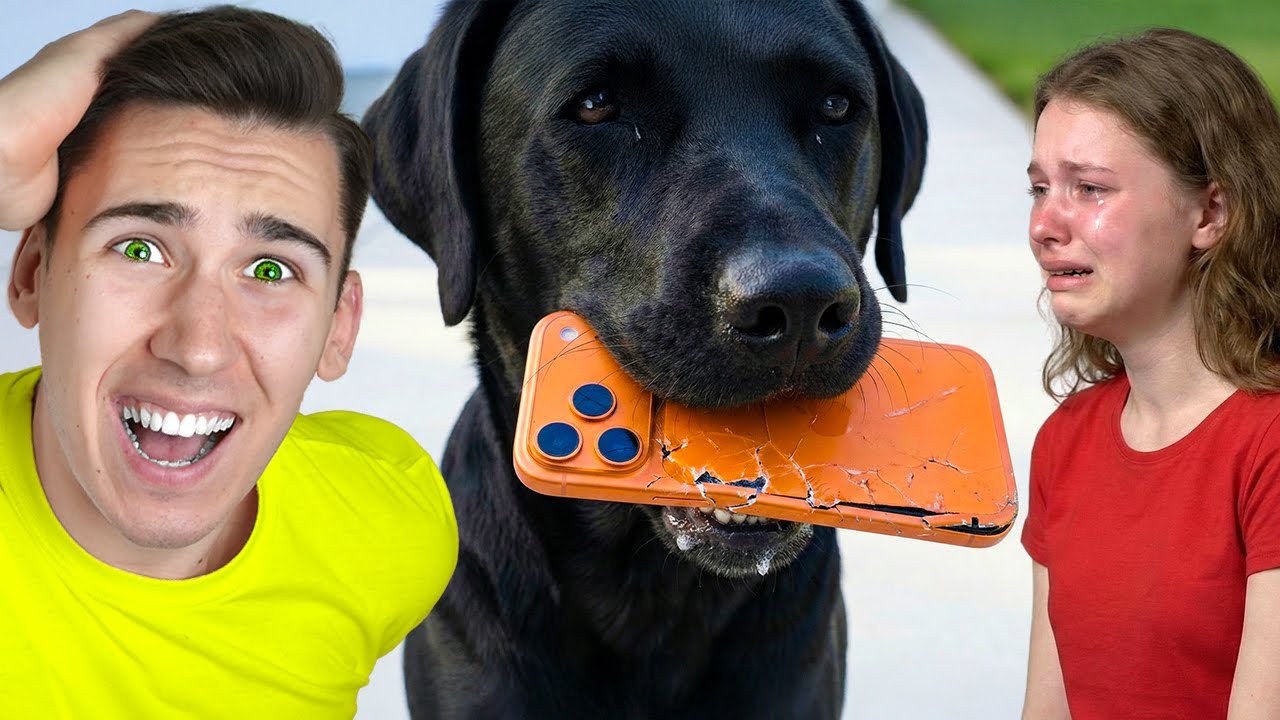PAS JOJ JE POJEO NOVI IPHONE 17!