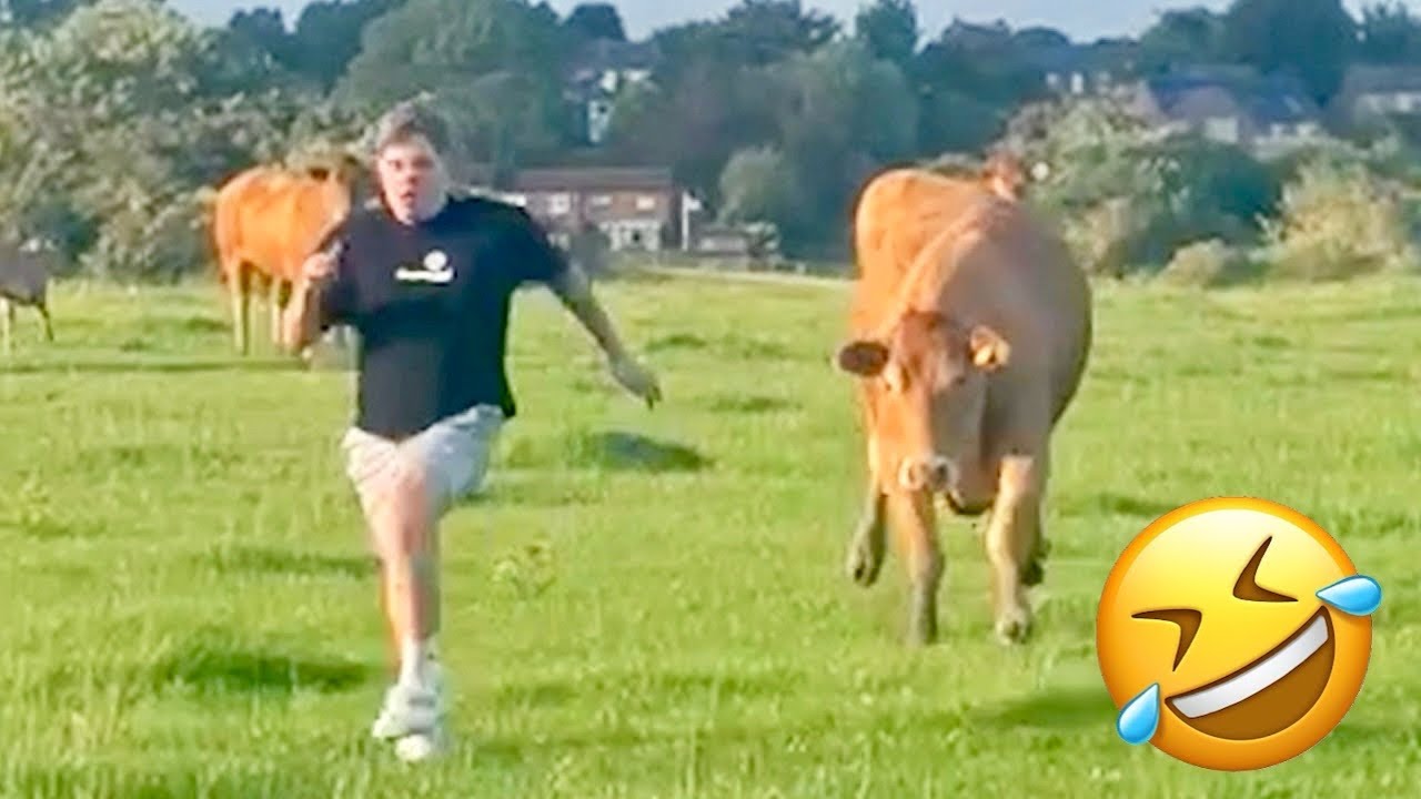 TRY NOT TO LAUGH 😆 Best Funny Videos Compilation 😂😁😆 Memes PART 243