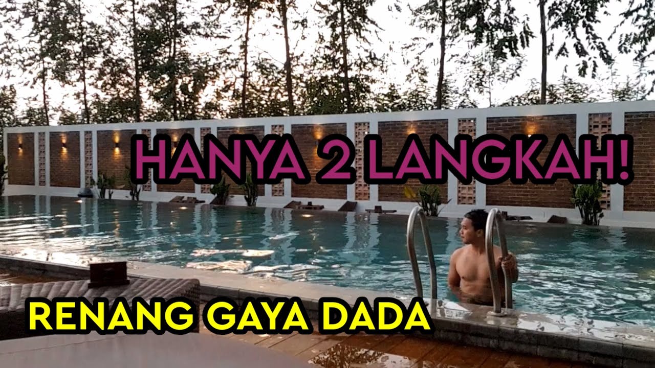 Cara Renang Gaya Dada Paling Mudah
