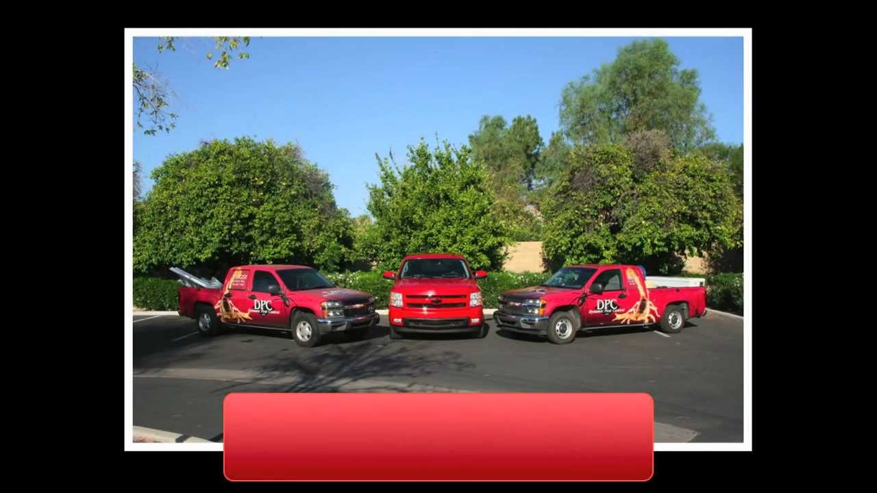 Pest Control Mesa AZ -- Dynamic Pest Control (480) 964-0145