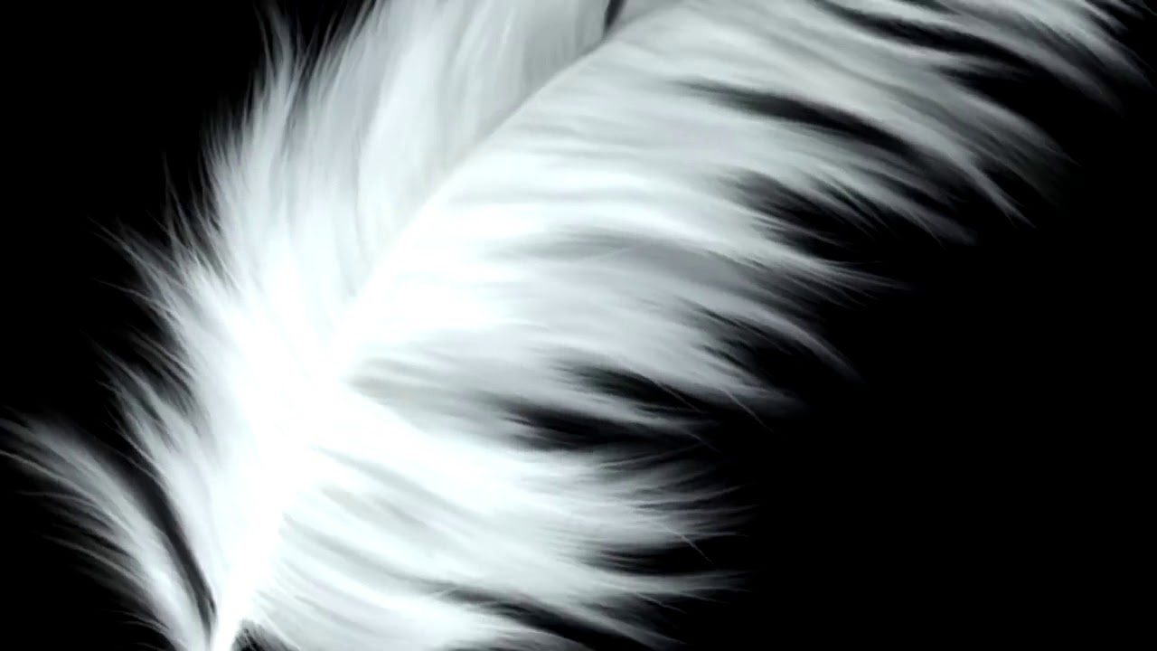 Feather  Overlay Transition